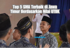 Luar Biasa! Top 5 SMA Terbaik di Jawa Timur Berdasarkan Nilai UTBK: Sang Juara Bukan dari Negeri, Tapi Sekolah