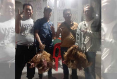 Bantuan 10 Ekor Ayam dari Paslon BZ-WIN untuk Warga Tertimpa Musibah Mulai Bergulir, Ini Penampakannya