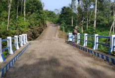 Jembatan Penyeberangan Desa Lubuk Selo Lahat Rampung Warga Tidak Perlu Takut Lagi, Ini Respon Kades