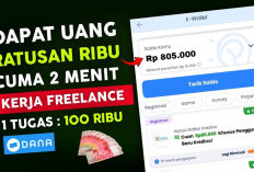 Kerja Freelance Hasilkan Saldo DANA Gratis, Yuk Cobain Sekarang Juga