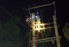 Gerak Cepat! PLN ULP Prabumulih Perbaiki Kerusakan Isolator di Desa Ini