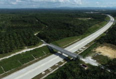 Jalan Tol Trans Sumatera: HKI Percepat Pembangunan Ruas Rengat-Pekanbaru, Rampung Tahun 2026?