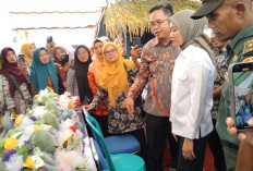 GOKIL ABIS ! Dinas TPHP Lahat Terapkan Teknik Mina Padi, Simak Yuk Penjelasannya 