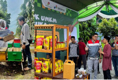 PHE Jambi Merang Bangkitkan Desa Lewat Semangat Agrosociopreneurship