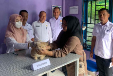 Memperingati Hari Rabies Sedunia, Dinas TPHP Lahat Vaksin 100 Hewan Peliharaan Warga, Ini Tujuannya