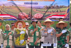 Polri Perkuat Ketahanan Pangan, Kapolres Lahat Pimpin Penanaman Bawang Putih di Lahan 15 Hektare