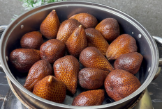 5 Daerah Penghasil Buah Salak Terbanyak di Sumatera Selatan, Ini Juaranya 