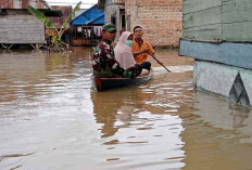 Ribuan Rumah Warga Terendam Banjir, Kodim 0415/Jambi Gerak Cepat Evakuasi Warga 
