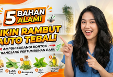 Bikin Rambut Auto Tebal! 5 Bahan Alami yang Ampuh Mengurangi Rontok Sekaligus Merangsang Pertumbuhan Baru