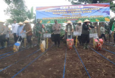 Kolaborasi Lintas Sektor, Polres dan Pemkot Lubuklinggau Tanam Jagung Serentak di Batu Urip