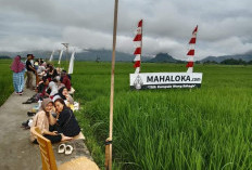 Hits Banget di Musi Rawas! Demi Makan di Tepi Sawah Ratusan Pegunjung Rela Antri Berjam-Jam, Seenak Apa Sih?