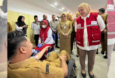 Kebutuhan 7.000 Kantong per Bulan, PMI Palembang Ajak Warga Rutin Donor Darah