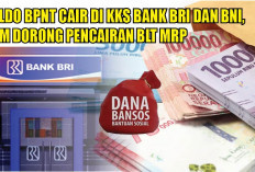 ALHAMDULILLAH! Saldo BPNT Cair di KKS Bank BRI dan BNI, KPM Dorong Pencairan BLT MRP