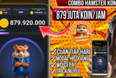 Update! Sandi dan Combo Harian Hamster Kombat 8 Agustus 2024, Raih 1 Juta Koin dengan Daily Cipher