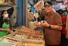 Agus Fatoni Cek Kestabilan Bahan Pokok di Pasar, Harga Daging Turun Telur Stabil