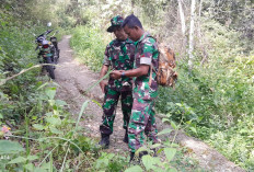 Akses Jalan Sepanjang 4,7 KM Siap Dibuka oleh Anggota TMMD Ke-122, Ini Kata Ketua Koordinator