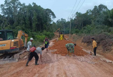 Akselerasi Pembangunan di Pulau Lepar, Satgas TMMD Kodim Basel Bangun Jalan Penghubung Sepanjang 5,5 KM