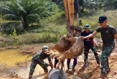 Kebut Infrastruktur, Satgas Kodim Basel Pasang 10 Titik Buis Beton dan Box Culvert di Pulau Lepar