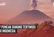 WOW Keren! Ini 7 Gunung Tertinggi di Indonesia, Salah Satunya Masuk Daftar Puncak Tertinggi di Dunia