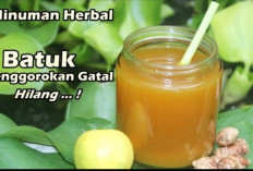 Tenggorokan Gatal Langsung Plong! 5 Obat Tradisional Paling Ampuh untuk Meringankan Batuk Kering Secara Alami
