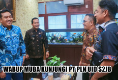 Datangi PLN UID S2JB, Wabup Muba Dorong Pengalihan Pelanggan PT MEP dan Perluasan Program Listrik Desa