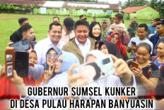 1 Hektar Sawah Jadi Rumah, Harus Diganti 2 Hektar! Kunci Perlindungan Lahan Demi Swasembada Pangan Sumsel