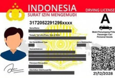 SIM Format Baru Mulai Berlaku 2024, Ini Perbedaannya dengan yang Lama