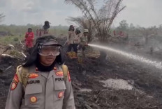 Tujuh Jam, Tim Gabungan Polda Bersama Manggala Agni Padamkan Api di Desa Cinta Jaya