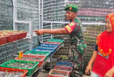 Bukti TNI AD Ada di Tengah Rakyat, Lahan Kosong Jadi Kebun, Warga Binaan Ikut Bahagia