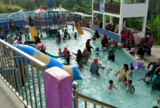 Manfaatkan Libur Lebaran ke Tempat Wisata Lestari Swimming Pool, Tiket Masuknya Murah dan Bikin Ogah Pulang