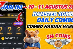 Daily Combo Hamster Kombat 11 Agustus 2024, 5 Juta Koin Gratis Siap Jadi Milik Kamu, Ayo Klaim Sekarang!