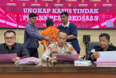 Terulang Lagi! Kasus Rudapaksa di OKU Selatan, Pelaku Diringkus