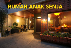 Rumah Anak Senja dengan Konsep Hutan di Dalam Hunian: Harmoni Alam di Tengah Kota