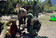 Gratis! Ada Pelayanan Kesehatan Secara Door to Door Dilaksanakan Satgas Yonif 142 Ksatria Jaya, Dimana?