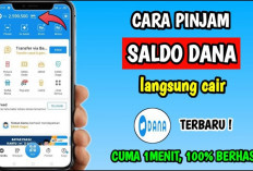 Pinjam Uang 200 Tanpa APK Paylater, Bisa Langsung Cair Saldo DANA, Ini Caranya