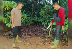 Kapolres OKU Pimpin Penanganan Kasus Pembunuhan di Desa Mendingin, Ini Motifnya