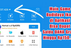 WOW! Main Game Budidaya Ikan di Aplikasi Bisa Dapat Saldo DANA Gratis Hingga Rp150.000, Berani Coba?