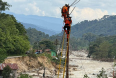Ternyata PLN Berhasil Pulihkan 98,9 Persen Kelistrikan Aceh Pascabencana, 6.432 Desa Kembali Terang