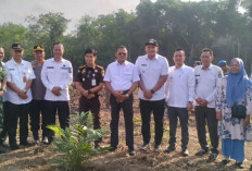 Pemkot Prabumulih Mulai Pembibitan Kelapa Sawit, 7 Bidang Lahan Warga Siap Digarap