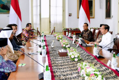 Presiden Jokowi dan Sekjen MHM Bahas Peran Ulama Hadapi Tantangan Global dan Persaudaraan Manusia