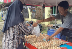 Harga Telur Ayam di Palembang Kembali Normal, Sekilo Berkisar Rp 24.000