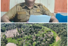 GASPOLL! Dinas Perikanan Lahat Bangun Sapras Fisik Tebat Danau Karet Jajaran Baru