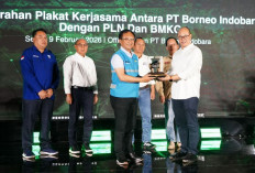 Menuju Zero Emission 2029, PLN Salurkan 23 Ribu Unit Sertifikat Energi Terbarukan ke PT BIB