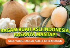 Makin Langka dan Hampir Punah! Inilah 7 Buah Khas Indonesia dengan Rasa Unik yang Kian Terlupakan