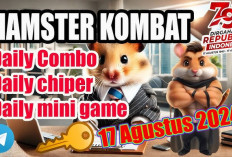 Serbu! Sandi dan Daily Combo Hamster Kombat 17 Agustus 2024, Raih 5 Juta Koin dengan Mengkombinasikan Kartunya