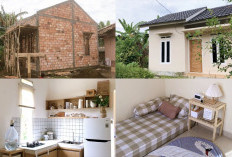 Inspirasi Rumah Mungil 50 Juta: Tips Hemat dan Home Tour