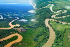 Sungai Musi Masuk Daftar? Inilah 6 Sungai Terpanjang di Indonesia, Terakhir Dijuluki Amazonnya Indonesia!