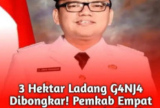Pemkab Empat Lawang Apresiasi Atas Kinerja Polres Bongkar Ladang Ganja 3 Hektar, Ini Katanya