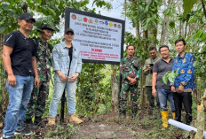 Wah! Tim Satgas PKH Kabupaten Lahat Ambil Alih Lahan di Wilayah Kawasan Hutan, Kenapa?