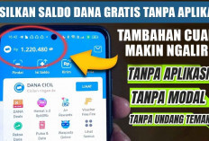 Cepat Proses! Hasilkan Saldo DANA Gratis Tanpa Aplikasi, Tambahan Cuan Makin Ngalir